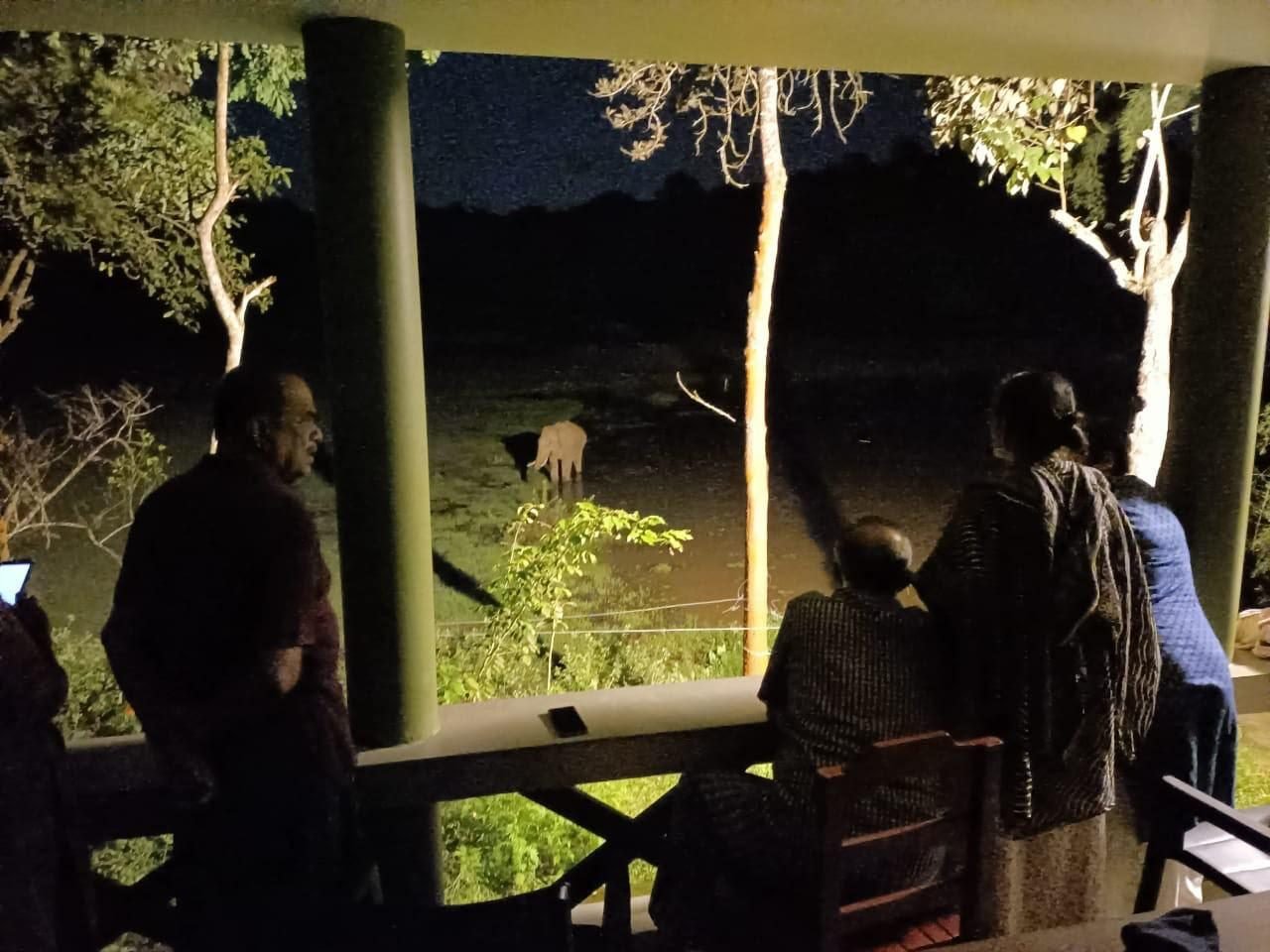 Guests watching an elephant at the water from the lodge verandah at night