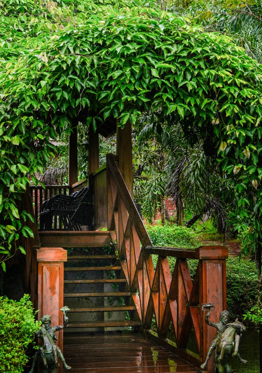 Eco friendly resorts in Wayanad