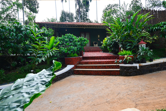 Eco friendly resorts