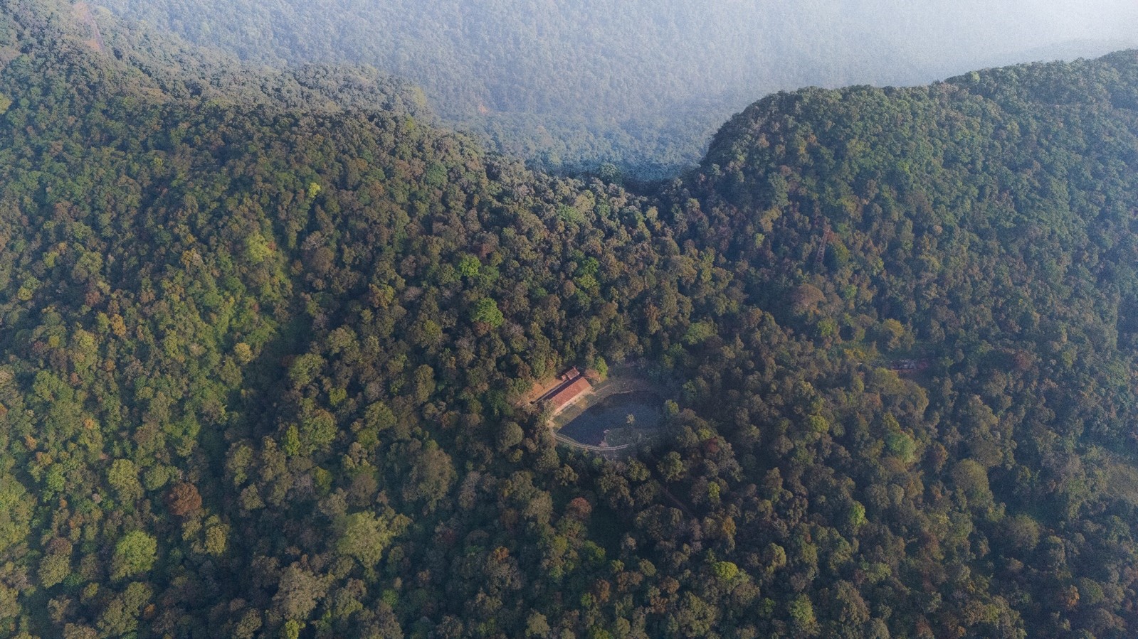 Forest stay planning