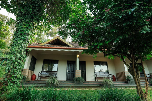 Hill Rows Estate is a coffee plantation