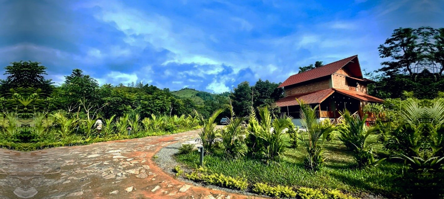 Homestays do really well