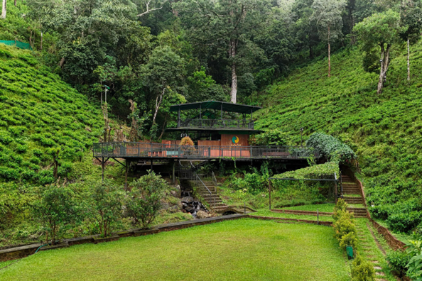 Lakkidi lies Tea Trees