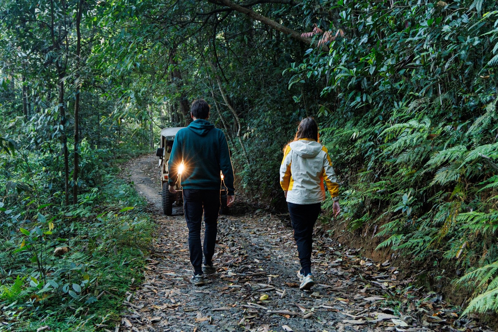 Local immersion activities