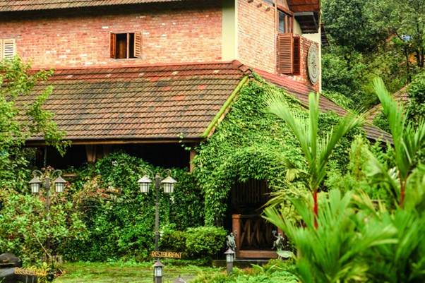 Luxury Stays in Wayanad
