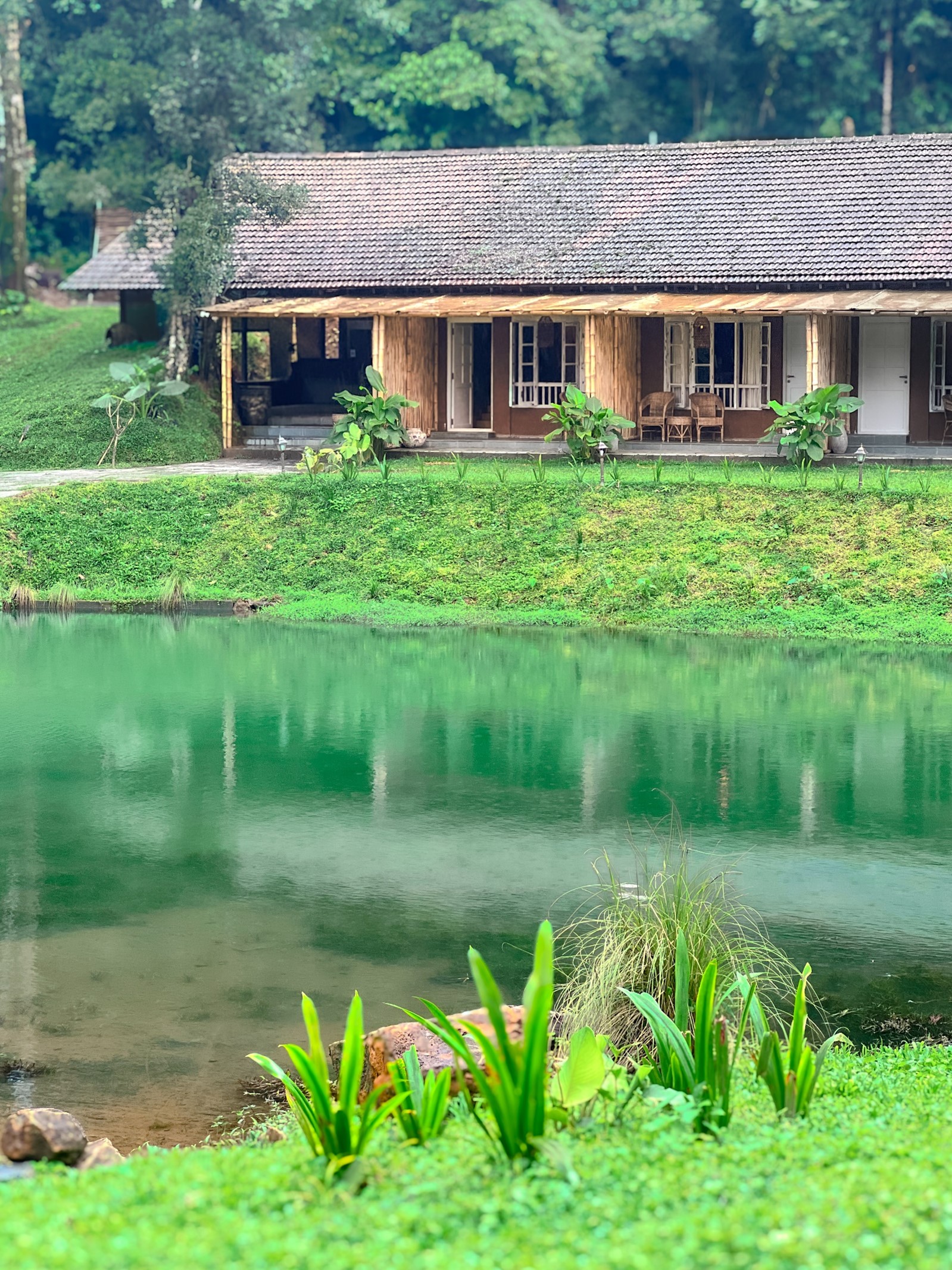 Peaceful family stay