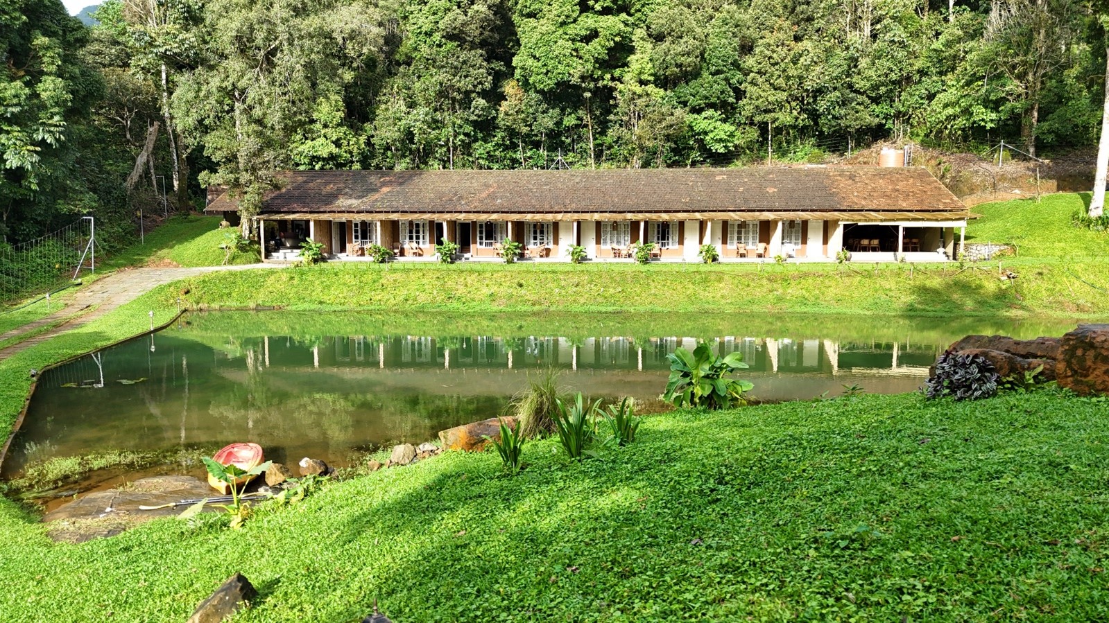 Serene forest cottages