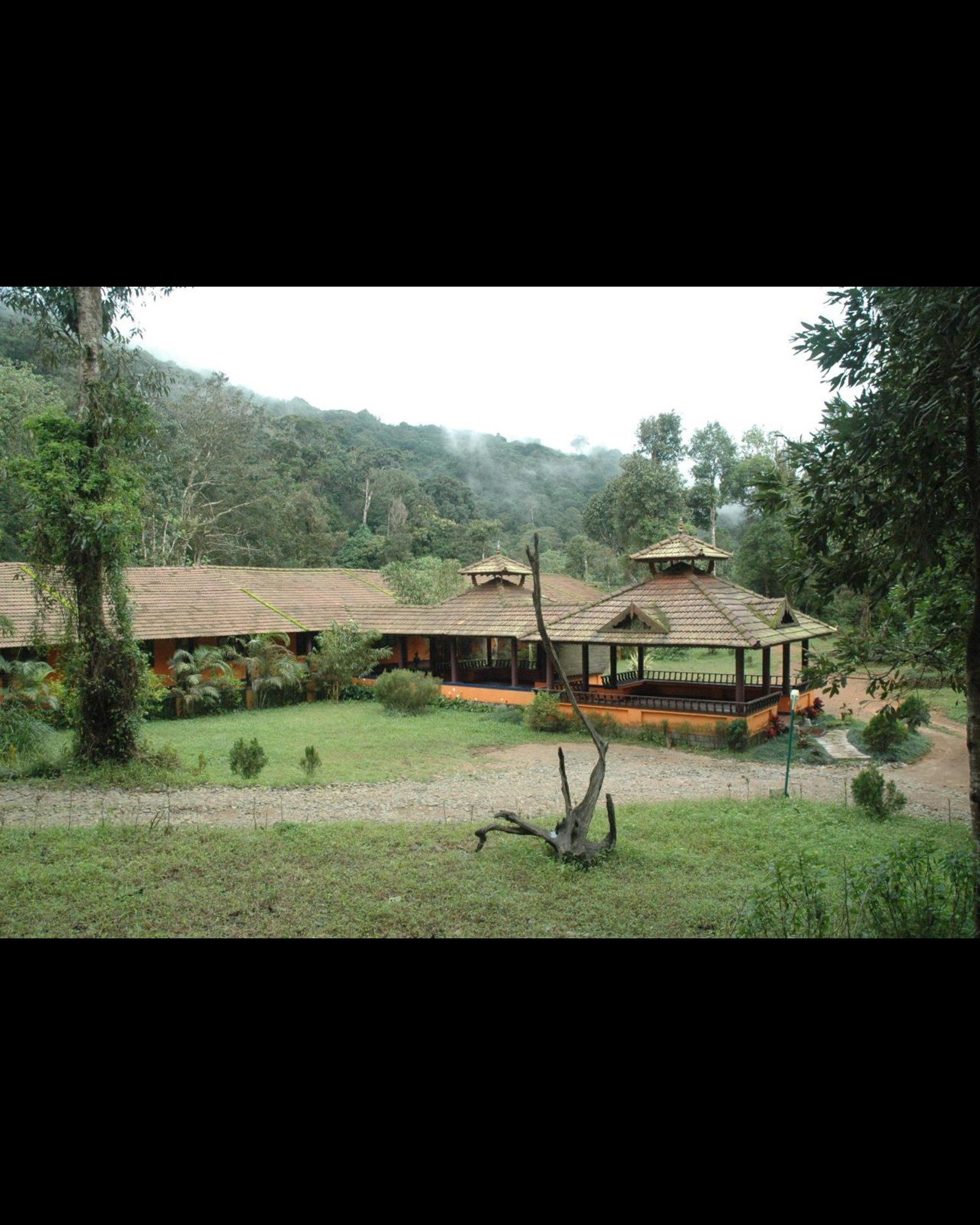 Original Jungle Park Resort architecture in Wayanad